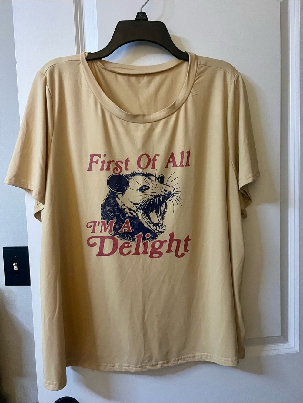 Plus Size Funny Graphic T-Shirt "First of All I'm A Delight"